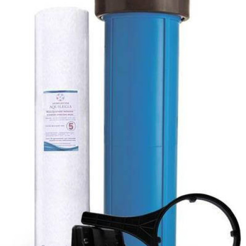 Колба магістральна Big-Blue-20 Польща!