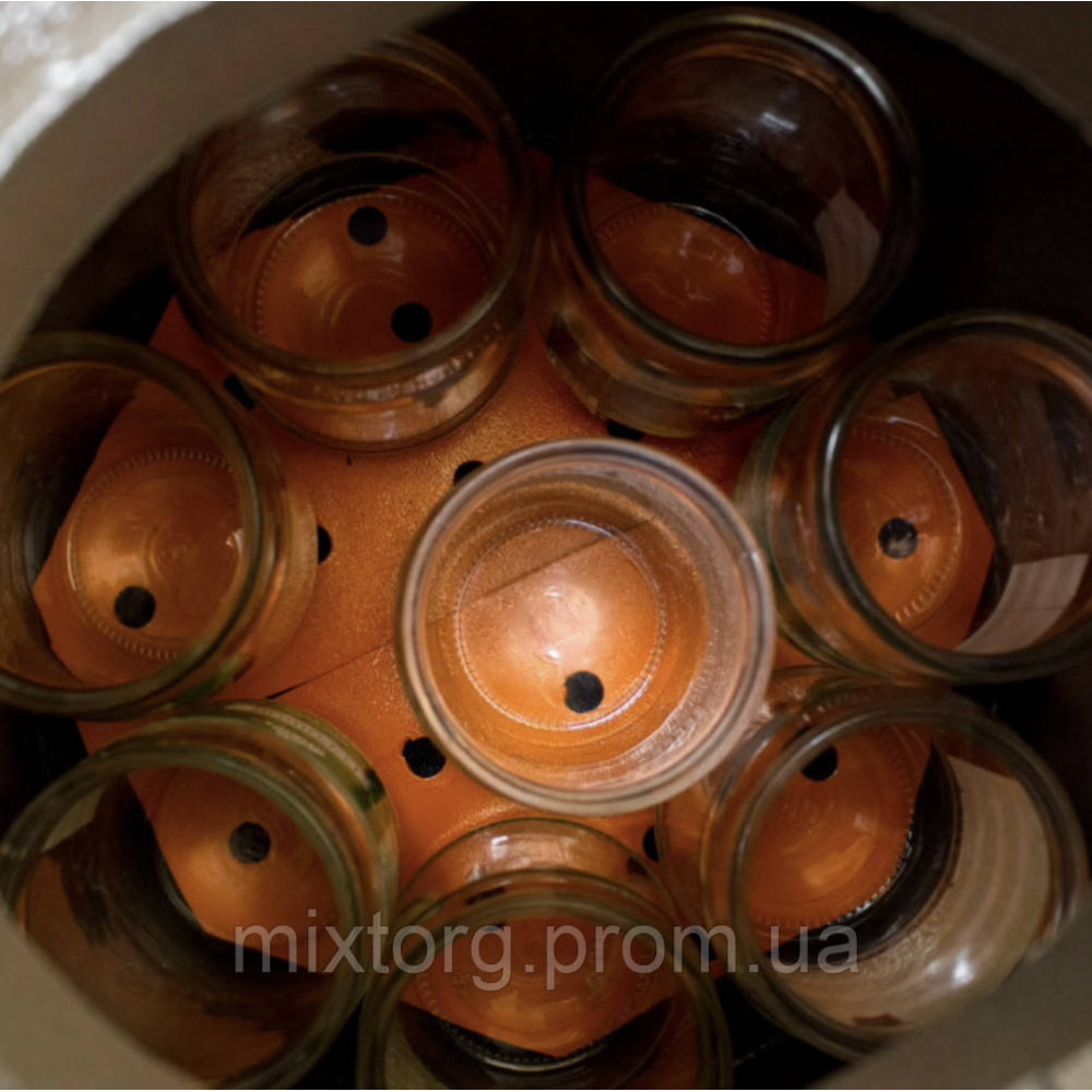 Автоклав Домашній Майстер 24 Газ